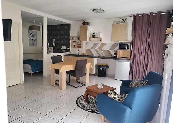Large Quiet Studio, Apartament Angers